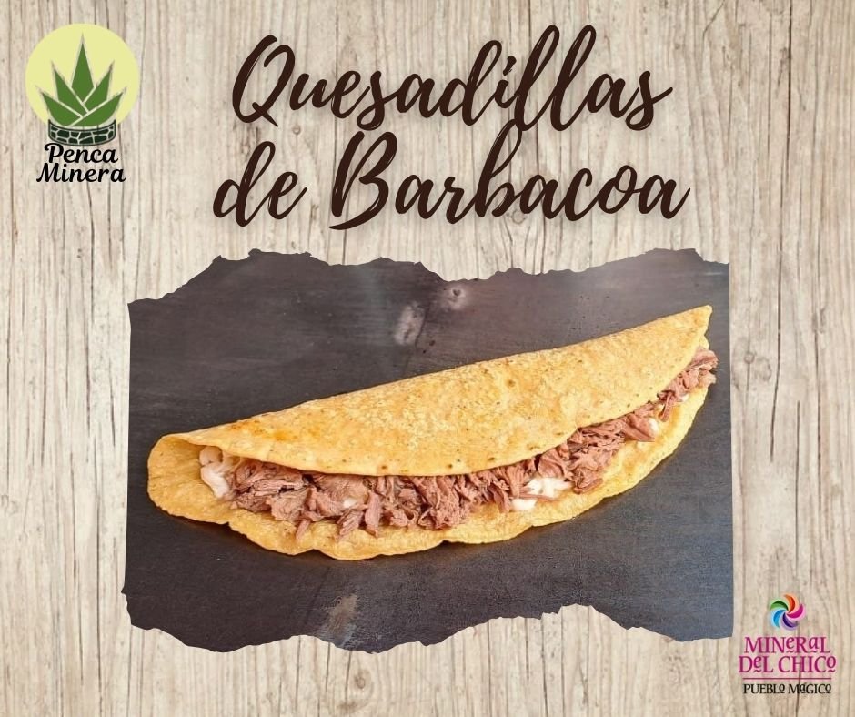 QUESADILLA DE BARBACOA